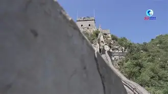 关于F1夜战：岭北天虎队翻盘河套霹雳队，临门一脚致胜反击锐度十足的信息